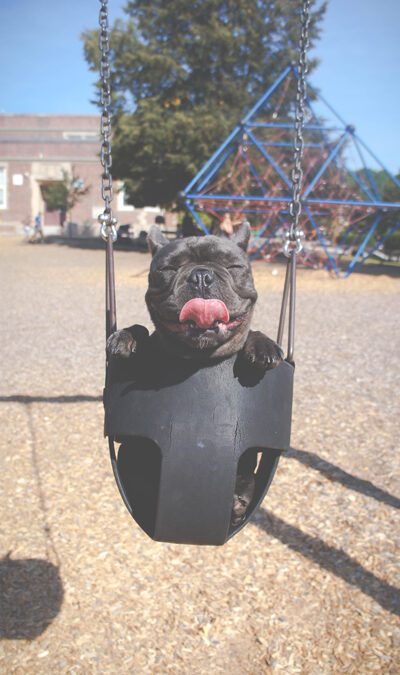 Going Viral: What to Do When You’re Internet Famous