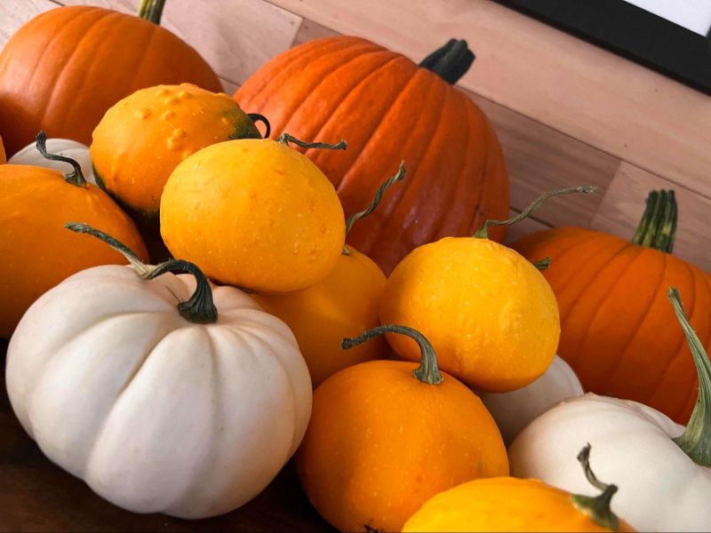 a pile of pumpkins