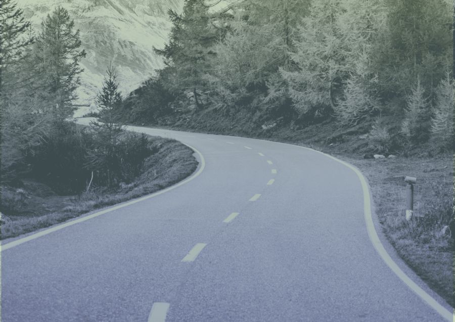 a road winding through an evergreen forest