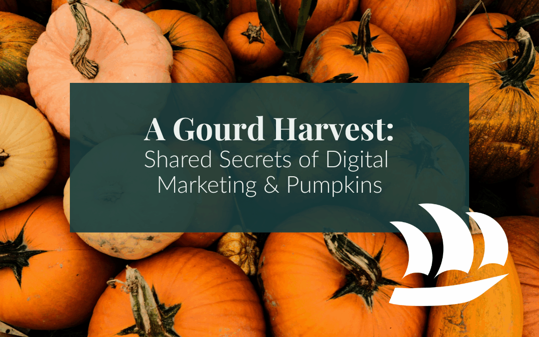 A Gourd Harvest: Shared Secrets of Digital Marketing & Pumpkins